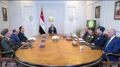 الرئيس السيسي يوجه بتسريع إستكمال منظومة التغذية الكهربائية لمشروعات الاستصلاح الزراعي