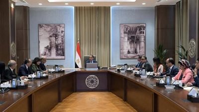 رئيس الوزراء يتابع موقف الطروحات في قطاع الطاقة
