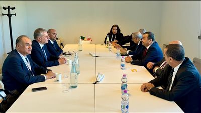 مصر والجزائر تبحثان سبل التعاون في مجالات الطاقة والبتروكيماويات والتعدين