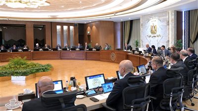 مجلس الوزراء يُصدر قراراً بإسقاط الجنسية المصرية عن سيدة