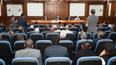 طرح وحدات صناعية كاملة المرافق بمحافظتي الأقصر وأسوان.. مايو المقبل