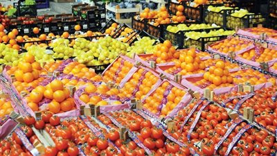 ارتفاع صادرات مصر الزراعية إلى 4.13 مليار دولار خلال 2024