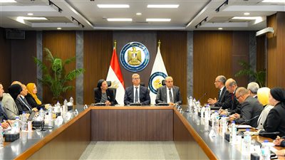 مصر تستثمر 530 مليون دولار لإنتاج وقود الطائرات من زيت الطعام المستعمل