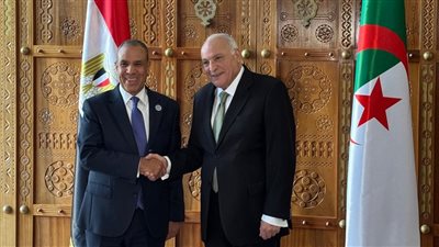 مصر والجزائر تبحثان تعزيز التعاون السياسي والاقتصادي المشترك
