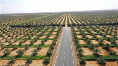 توقعات بارتفاع حجم سوق التأمين الزراعي العالمي لـ60 مليار دولار بحلول 2030