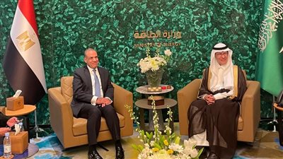 مصر تستهدف عقد شراكة استراتيجية مع السعودية بمشروعات الطاقة الخضراء