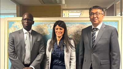 «المشاط»: الحروب التجارية وتطورات الاقتصاد العالمي تؤكدان أهمية إعادة هيكلة النظام المالي