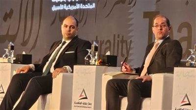 وزير المالية: نمو استثمارات القطاع الخاص 80 % خلال 6 أشهر