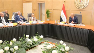 اعتماد إجراءات فصل المصرية لنقل الكهرباء عن الشركة القابضة