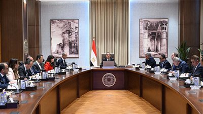 مصر تستهدف إنهاء إجراءات وصول السائحين إلى المطارات إلكترونيا 