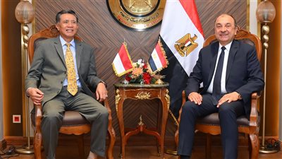 وزير قطاع الأعمال يستعرض الفرص المتاحة بالشركات التابعة أمام الاستثمارات الإندونيسية