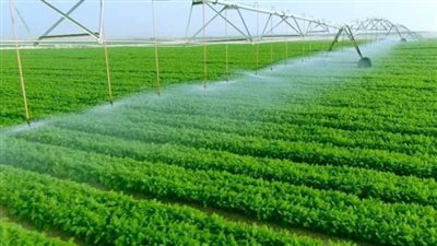 تعديل لائحة النقابة العامة للعاملين بالزراعة والري والصيد واستصلاح الأراضي