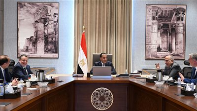 رئيس الوزراء يستعرض خطة توفير المنتجات البترولية لتشغيل محطات الكهرباء في الصيف