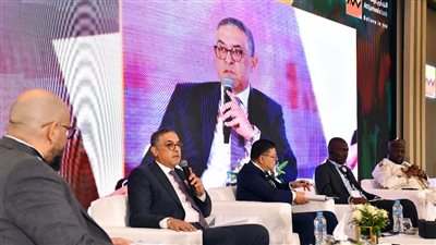 حسام هيبة: الحكومة تعد استراتيجيات مستدامة للتكامل الاستثماري والتجاري مع الدول الأفريقية