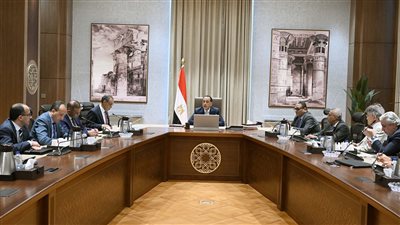 رئيس الوزراء يتابع الإجراءات اللوجستية لحفل افتتاح المتحف المصري الكبير