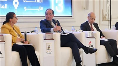 وزير المالية: ندرس طرح صكوك وسندات محلية وأخرى للمصريين بالخارج