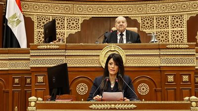 «المشاط»: 700 مليار جنيه استثمارات التنمية البشرية المتوقعة العام المالي المقبل 