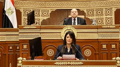 مجلس الشيوخ يوافق على خطة التنمية الاقتصادية والاجتماعية للعام المالي 2025-2026