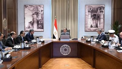 رئيس الوزراء يناقش سُبل الاستفادة من الآثار الغارقة بخليج أبي قير