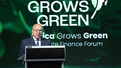 وزير الصناعة: مصر ملتزمة بدعم التحول نحو الاقتصاد الأخضر