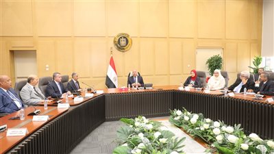 الحكومة تعتزم طرح رخص لإنتاج خام «البليت» لتعميق صناعة الحديد