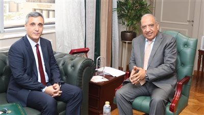 مصر والجزائر تبحثان دعم الشراكة والاستثمار بمجالات الكهرباء والطاقة المتجددة 