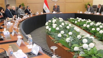 مصر تتيح لـ4 شركات إنتاج وبيع الكهرباء للمصانع باستثمارات 388 مليون دولار