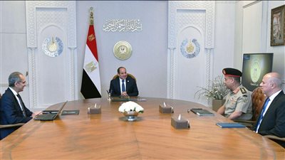 الرئيس السيسي يوجه بالانتهاء من الإجراءات التنفيذية لبدء مبادرة الرواد الرقميون