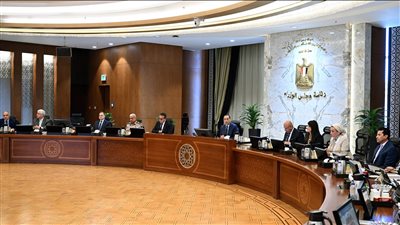 الحكومة تمنح التزام إنشاء محطة ومنطقة لوجستية لتداول البضائع الصب بميناء الدخيلة