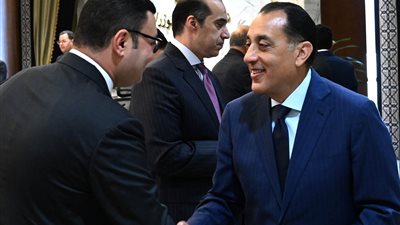 مجلس الوزراء يوافق على تخصيص قطع أراضٍ بنظام البيع بالدولار