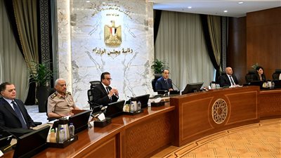 الحكومة تطرح 4 آلاف سيارة تاكسي وربع نقل للشباب بدون جمارك وضرائب