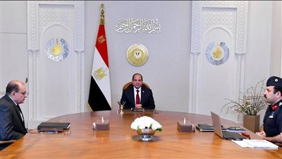 السيسي يوجه بضرورة توافر الأرصدة الاستراتيجية من السلع الأساسية لمدد كافية