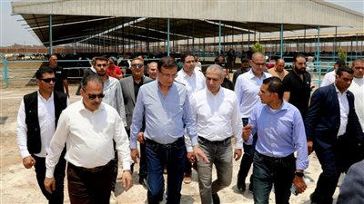 البنك الزراعي المصري يمول شراء 2000 رأس ماشية لصغار المربين بالشرقية