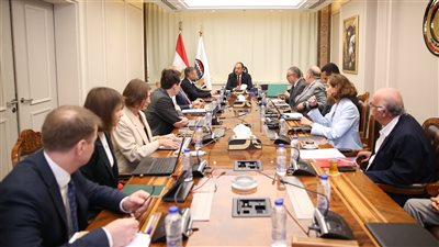 وزير قطاع الأعمال يبحث التعاون مع تحالف روسي- إماراتي بمجال الألومنيوم