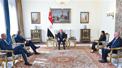 الرئيس السيسي يبحث مع مؤسسة التمويل الدولية تعزيز التدفقات الاستثمارية لمصر