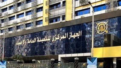 زيادة عدد العاملين الأجانب في مصر 32% خلال 2024