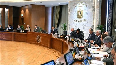 «ستيت جريد» الصينية تنفذ مشروعين للطاقة الشمسية في مصر بقدرة 900 ميجاوات