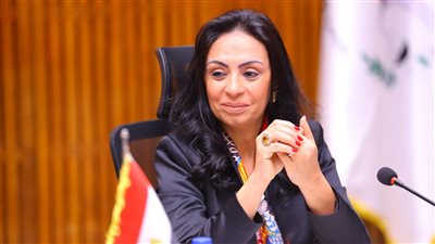 «التضامن» تقر قيد وتوفيق أوضاع 5 جمعيات في الإسكندرية وأسوان