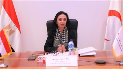 «التضامن» تقر قيد وتوفيق أوضاع 5 جمعيات في 3 محافظات