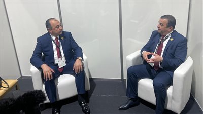 مصر والجزائر تبحثان توسيع آفاق التعاون الاستثماري بقطاعات الطاقة والتعدين والأسمدة