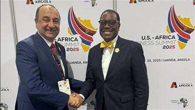 وزير قطاع الأعمال يبحث تعزيز الشراكة مع مجموعة البنك الأفريقي للتنمية