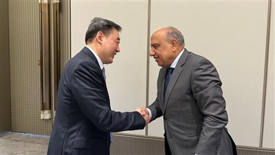 مصر والصين تبحثان تعزيز التعاون بمجالات الكهرباء والطاقة المتجددة