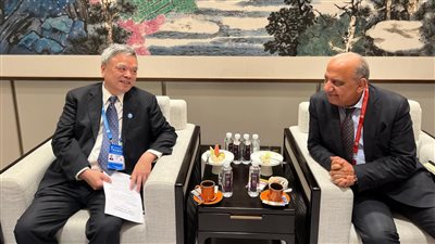 وزير الكهرباء يبحث سبل التعاون المشترك مع منظمة تطوير وترابط الطاقة العالمية 