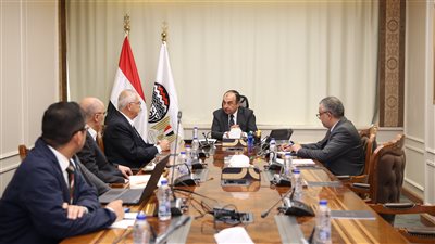 وزير قطاع الأعمال يبحث فرص التعاون مع «GS E&C» الكورية