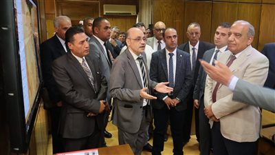 مصر تدرس تدشين كيانات صناعية لاستخلاص المعادن النادرة