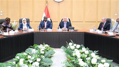 مصر تدرس إدارة منظومة النقل البري في سيراليون