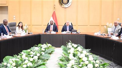 مصر تدرس تنفيذ مشروعات بمجالات النقل والصناعة والبنية التحتية في الكونغو