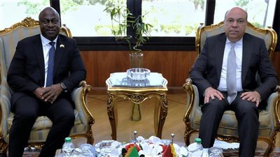 مصر تعتزم تطوير البنية التحتية للمطارات في سيراليون