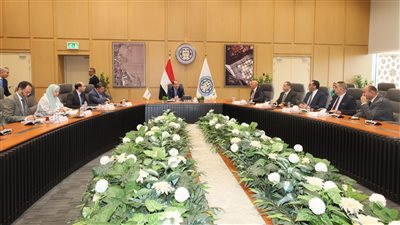 وزير المالية: تخصيص 5 مليارات جنيه لمبادرات المشروعات المتوسطة والصغيرة ومتناهية الصغر