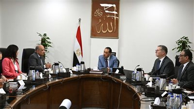رئيس الوزراء يتابع جهود تأمين الوقود لمحطات الكهرباء وموقف مشروعات الطاقة الجديدة